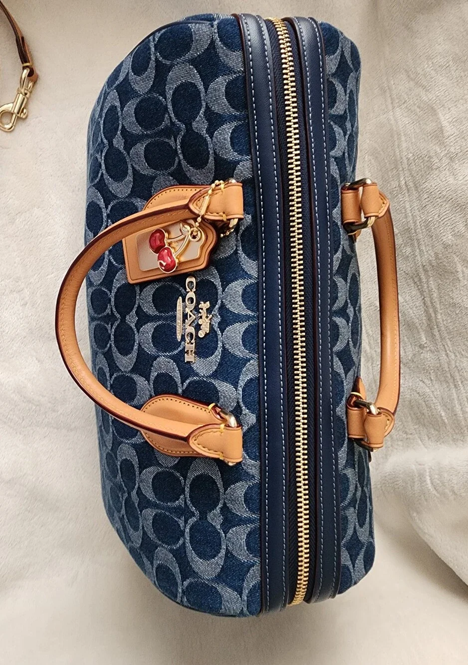 Coach dark signature
